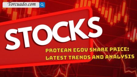 Protean Egov Share Price